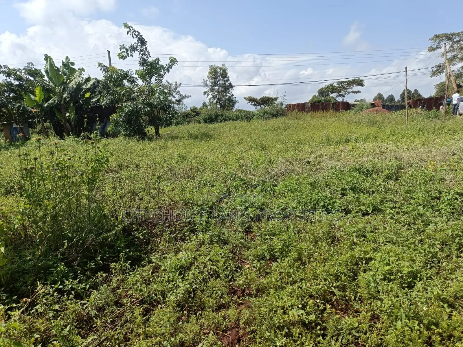 50x100 Prime Plot of Land for Sale in Gikambura Kikuyu