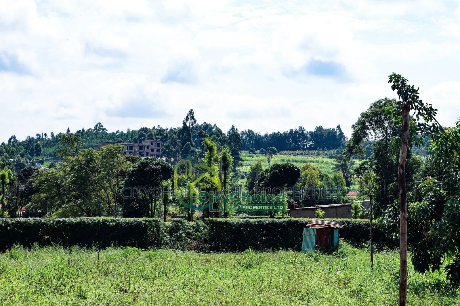50x100 Gikambura Plot for Sale