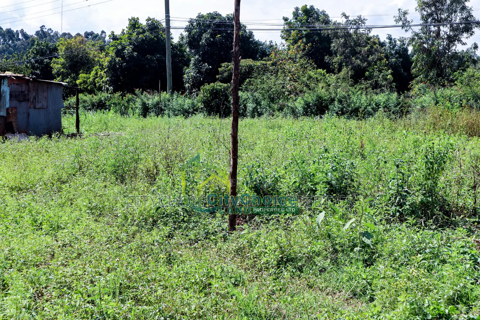 50by100ft Plot for Sale in Gikambura