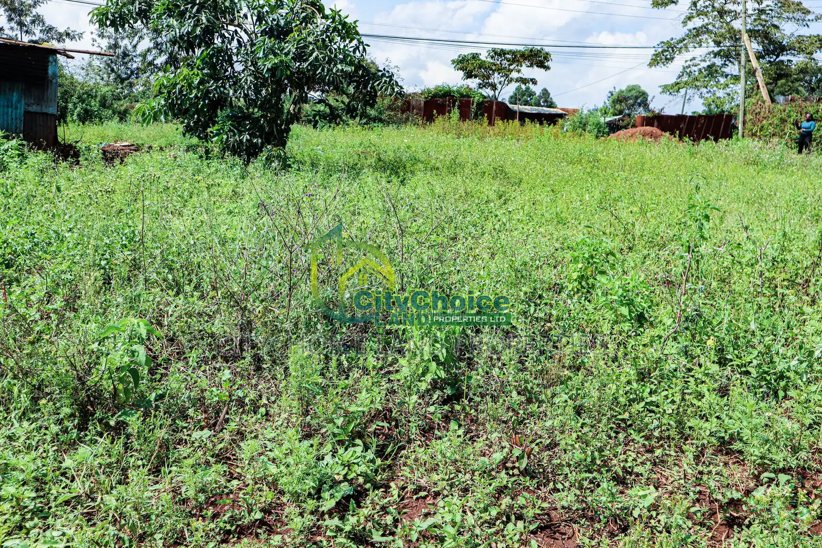 50by100ft Plot for Sale in Gikambura