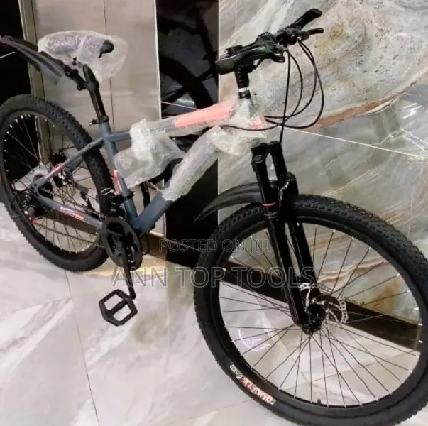Mountain Bike Size 24