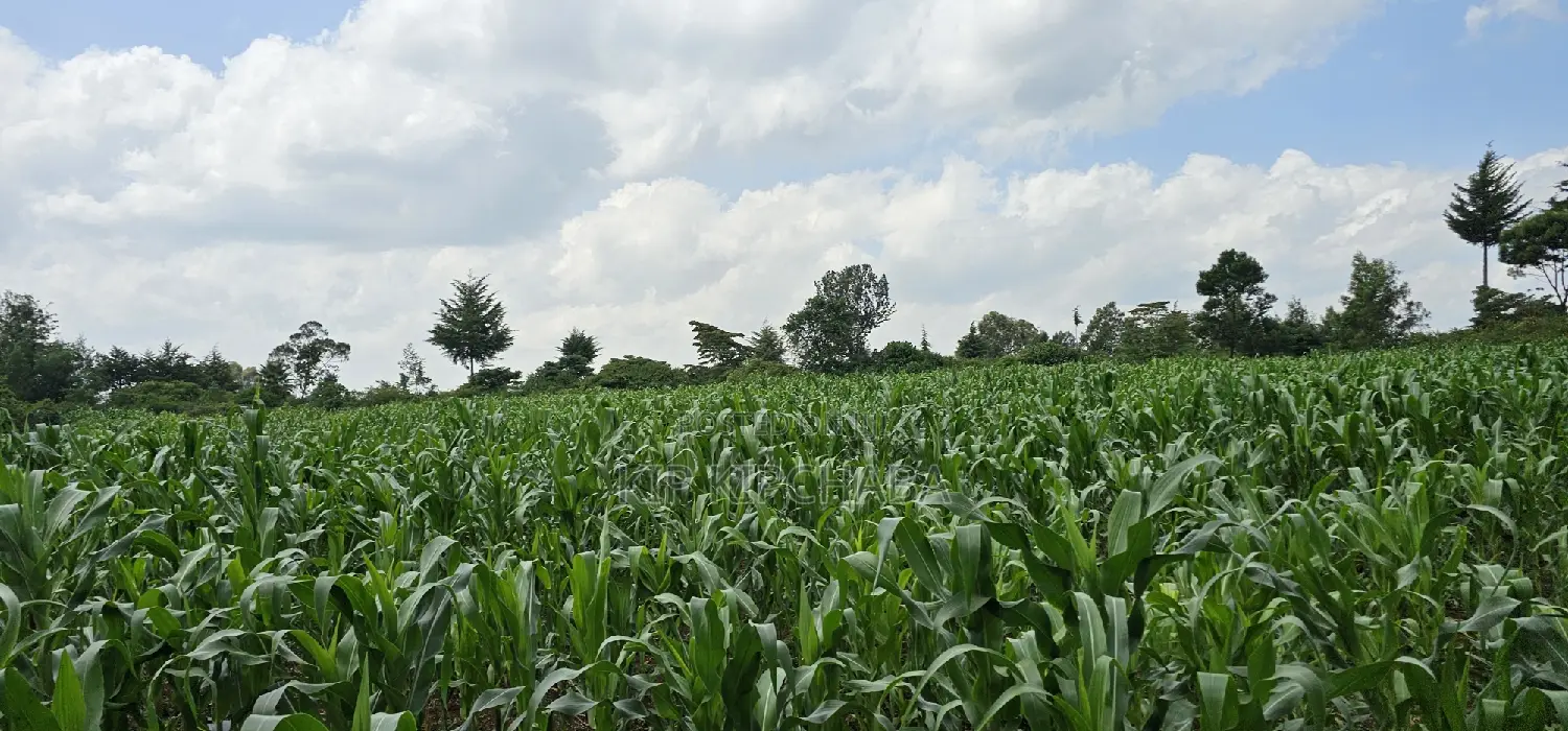 2 Acres for Sale in Chepkanga Eldoret