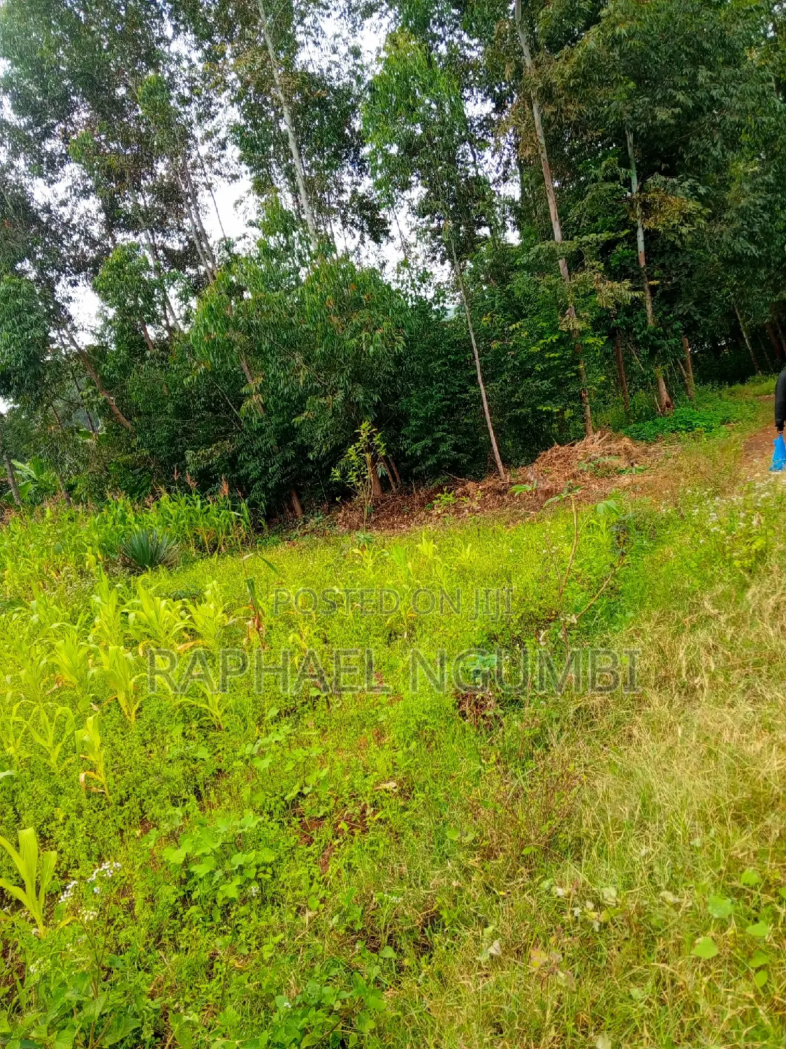 50*100 Plots at Mavivye Mumbuni
