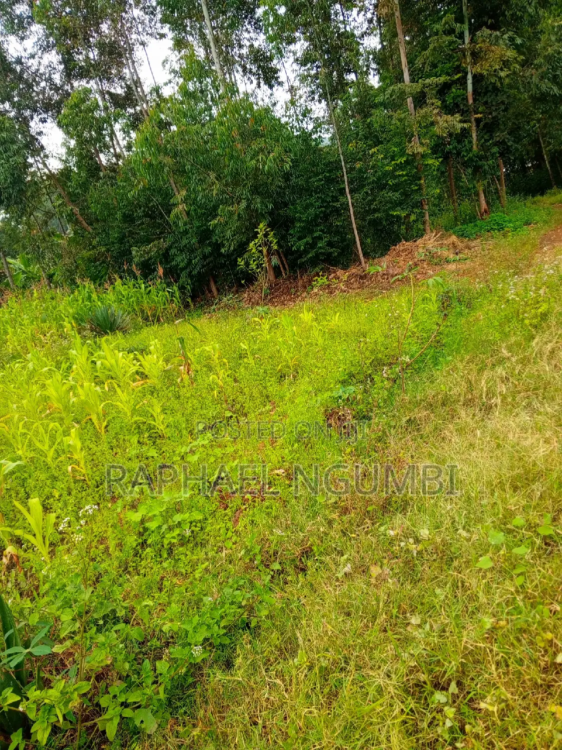 50*100 Plots at Mavivye Mumbuni