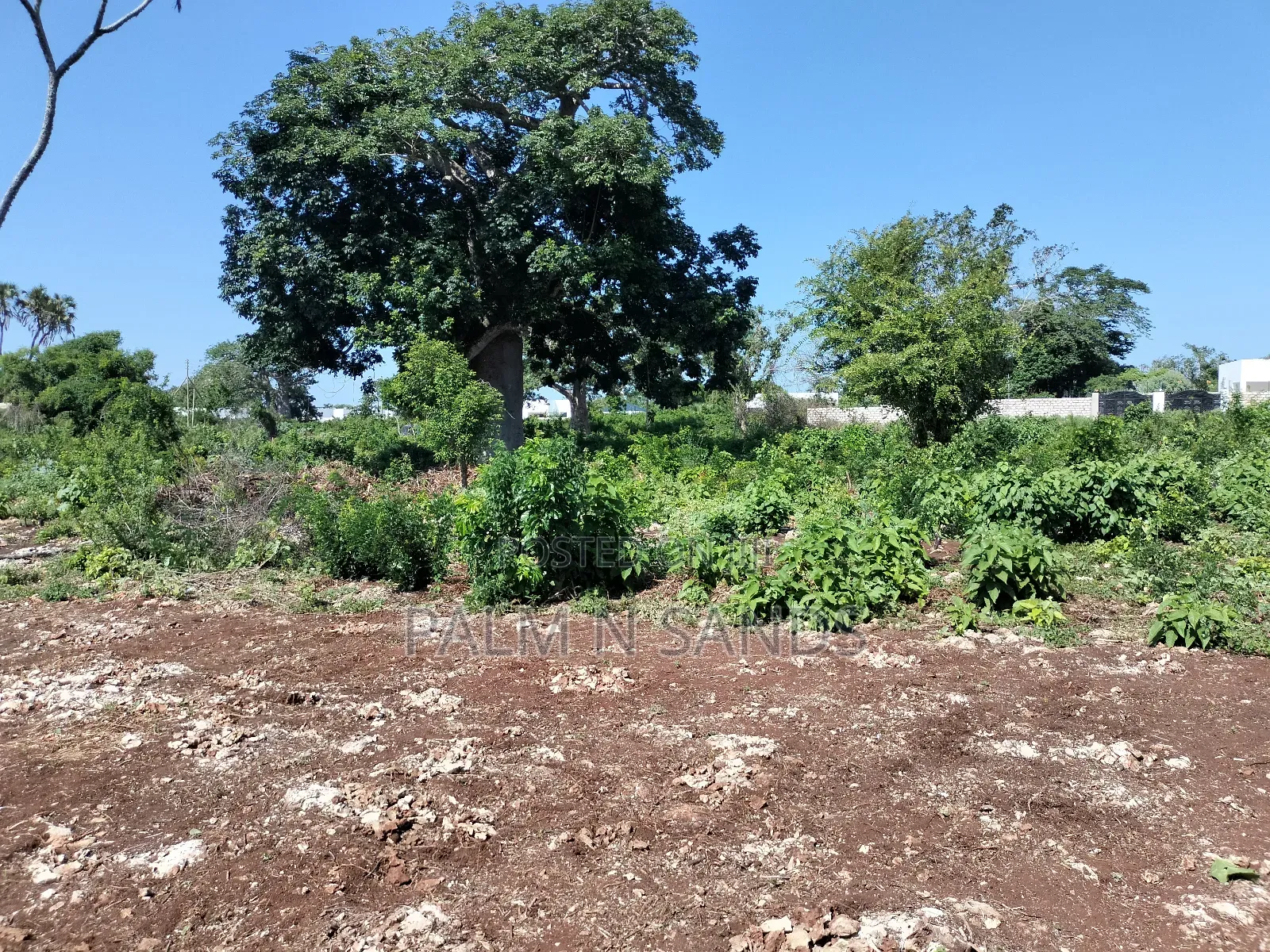 Prime Plots on Sale in Galu