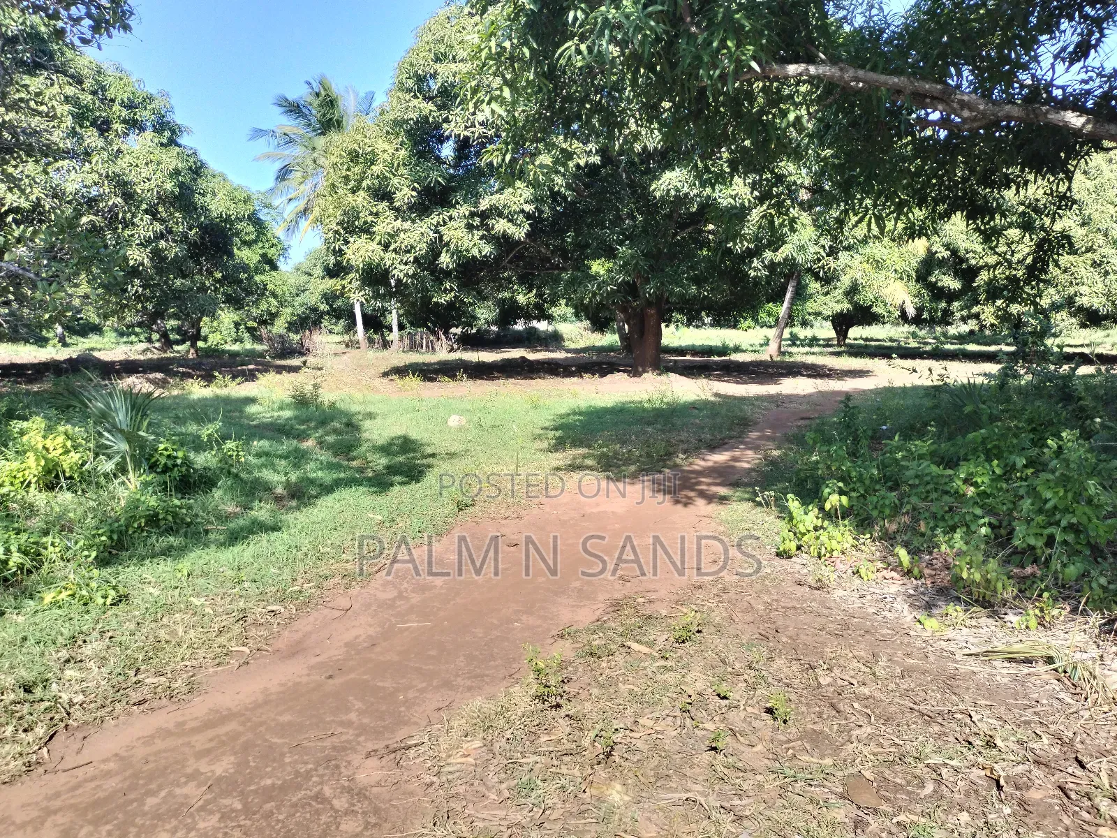 5.9 Acre Prime Land in South Coast