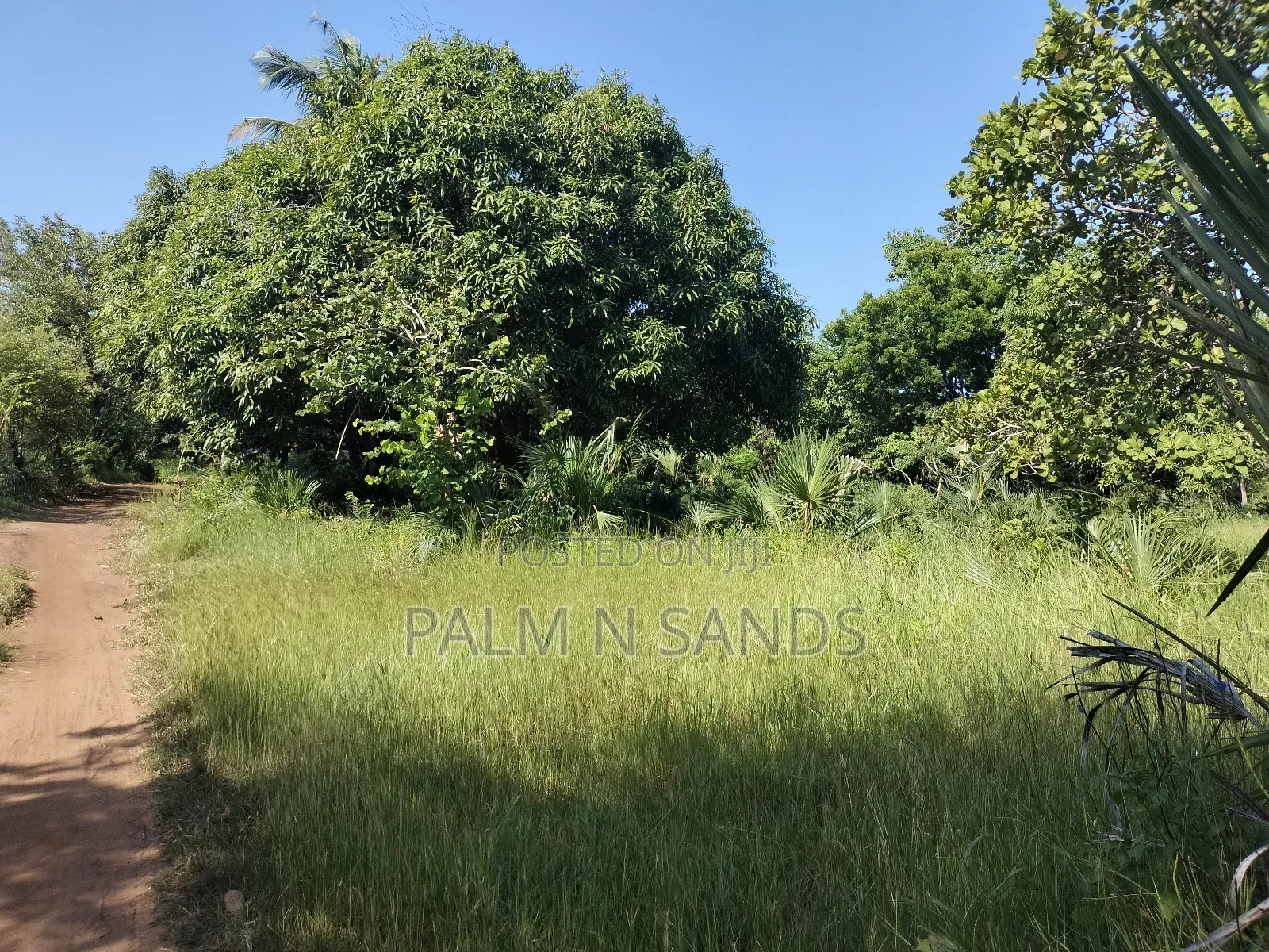 5.9 Acre Prime Land in South Coast