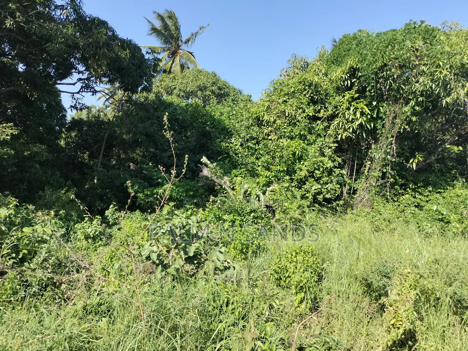 5.9 Acre Prime Land in South Coast