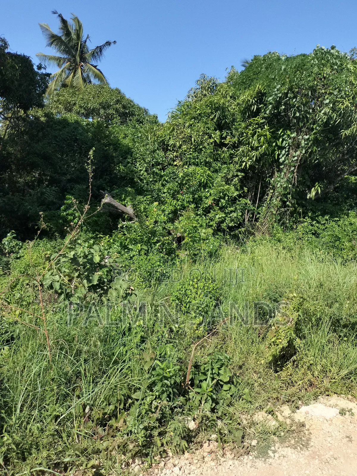 5.9 Acre Prime Land in South Coast