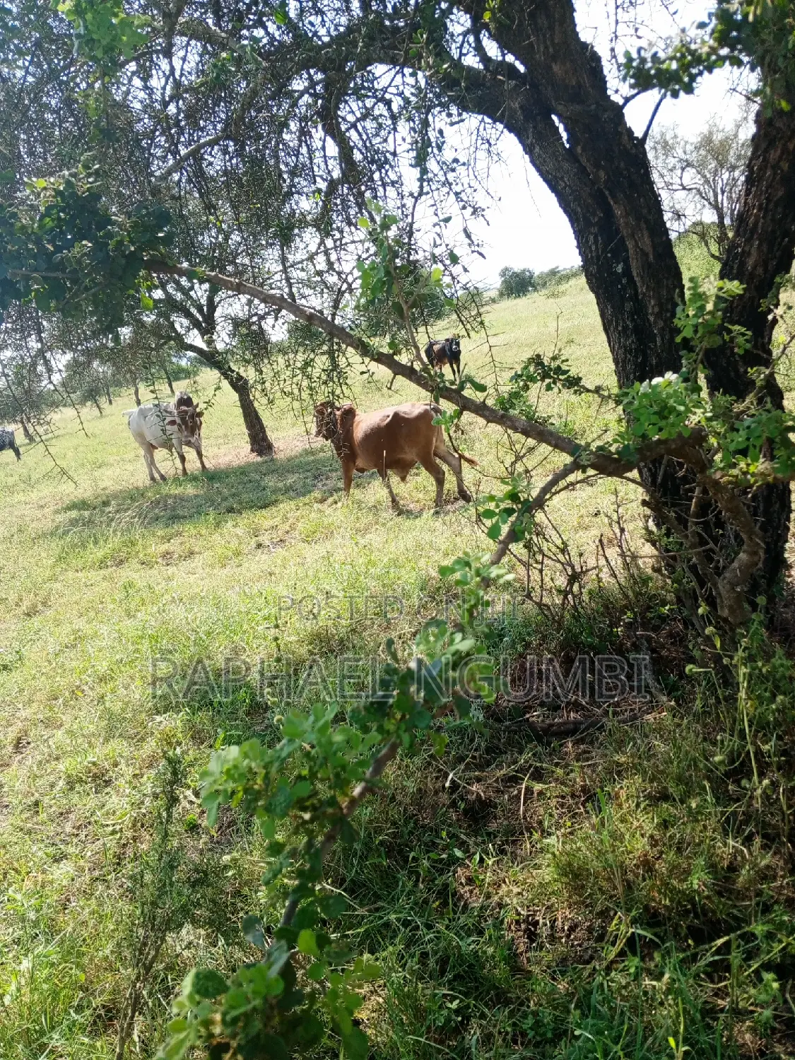 Prime 3.5 Acres at Machakos Katumani Road.