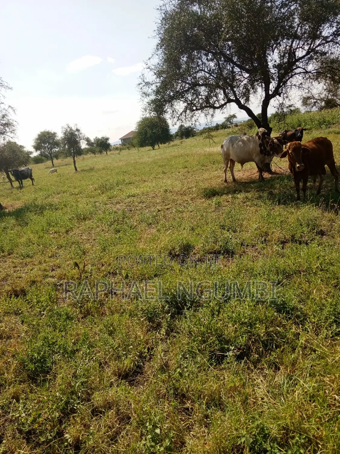 Prime 3.5 Acres at Machakos Katumani Road.