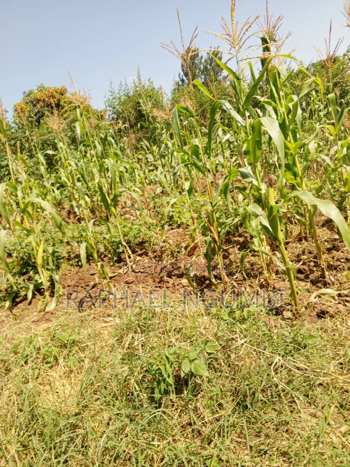 Two (2) Acres at Machakos Vota