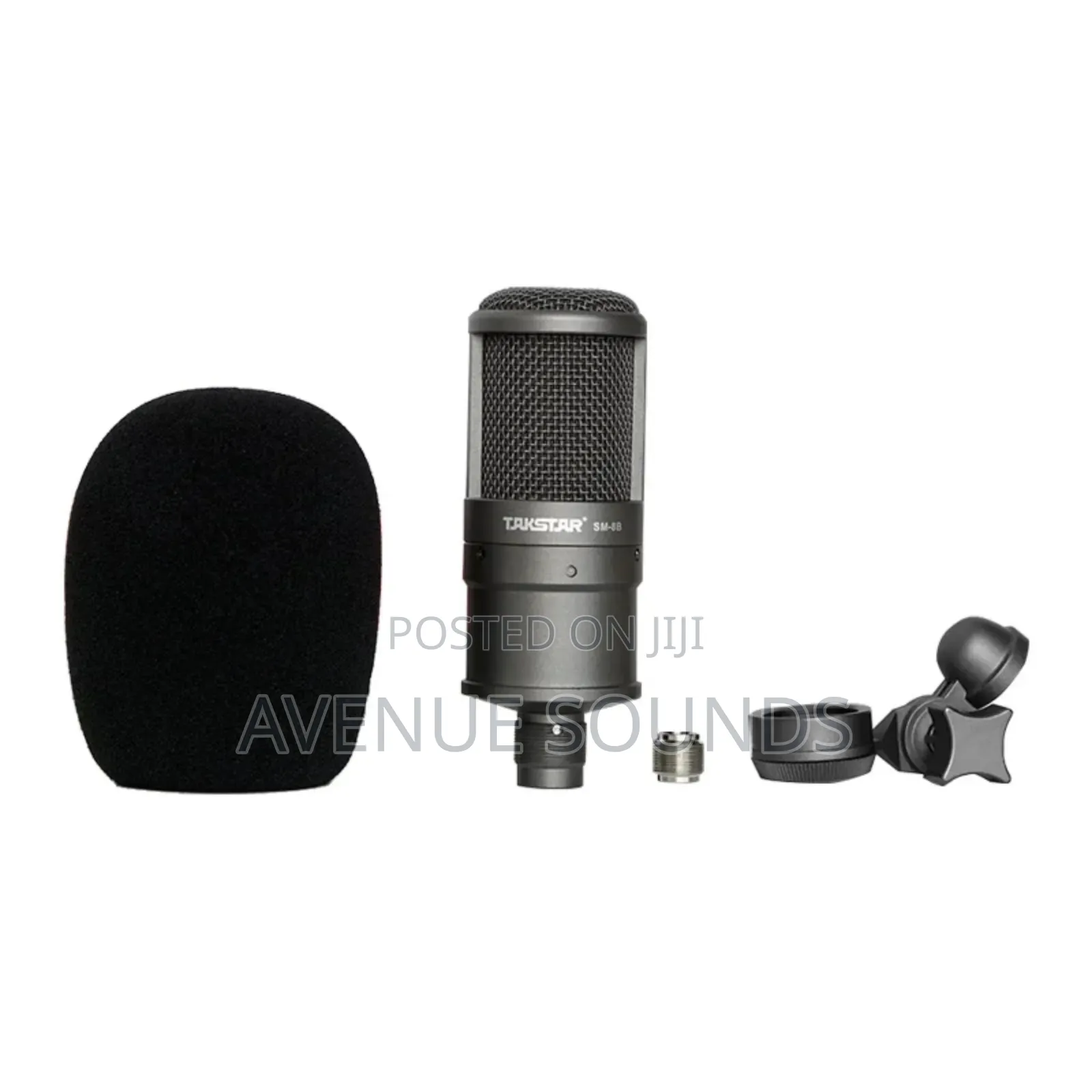 Takstar Professional Studio Condenser Mic