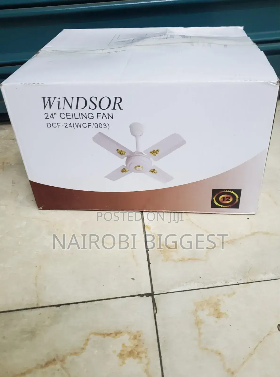 Amazing Windsor 24 Inches Ceiling Fan