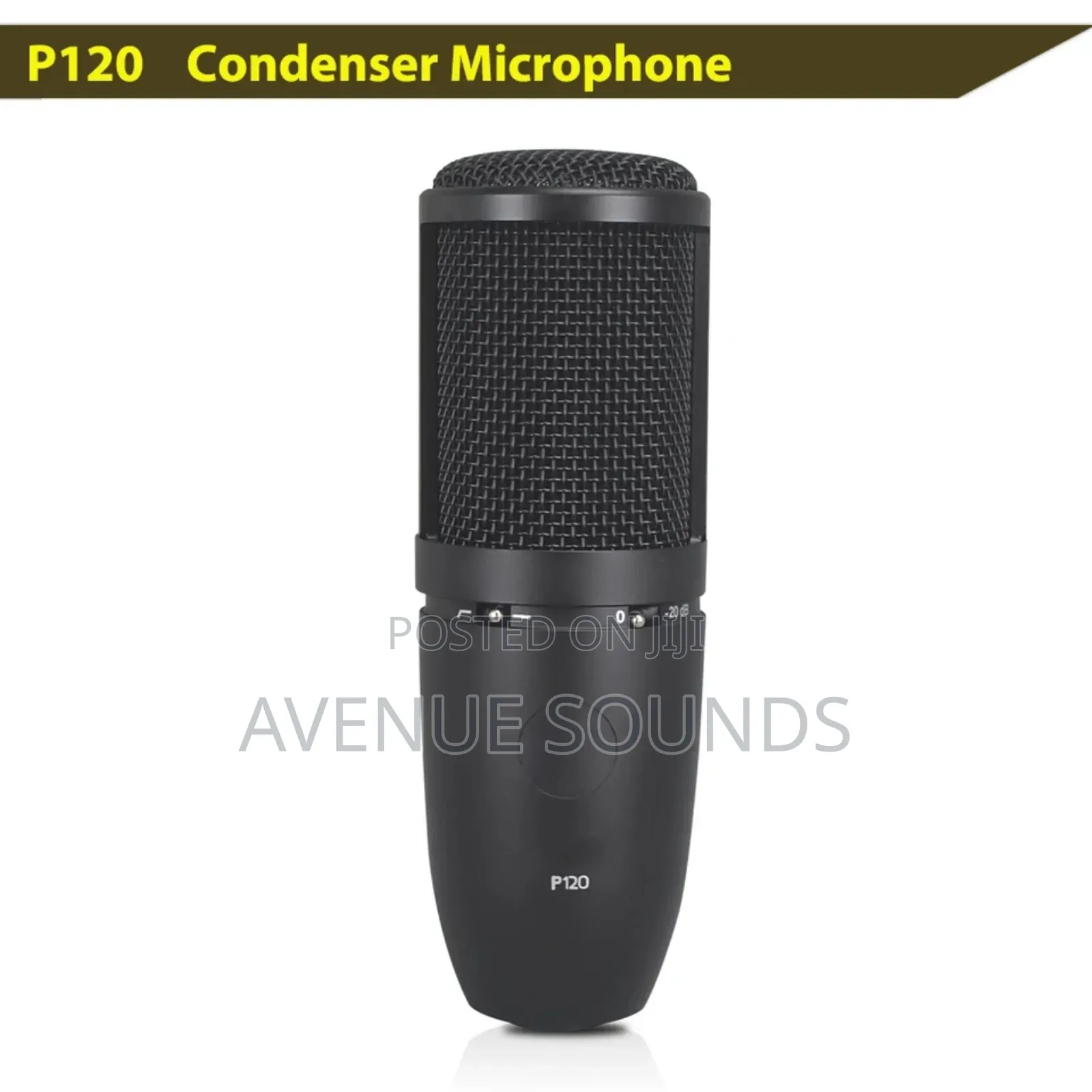 AKG P120 Recording Condenser Microphone