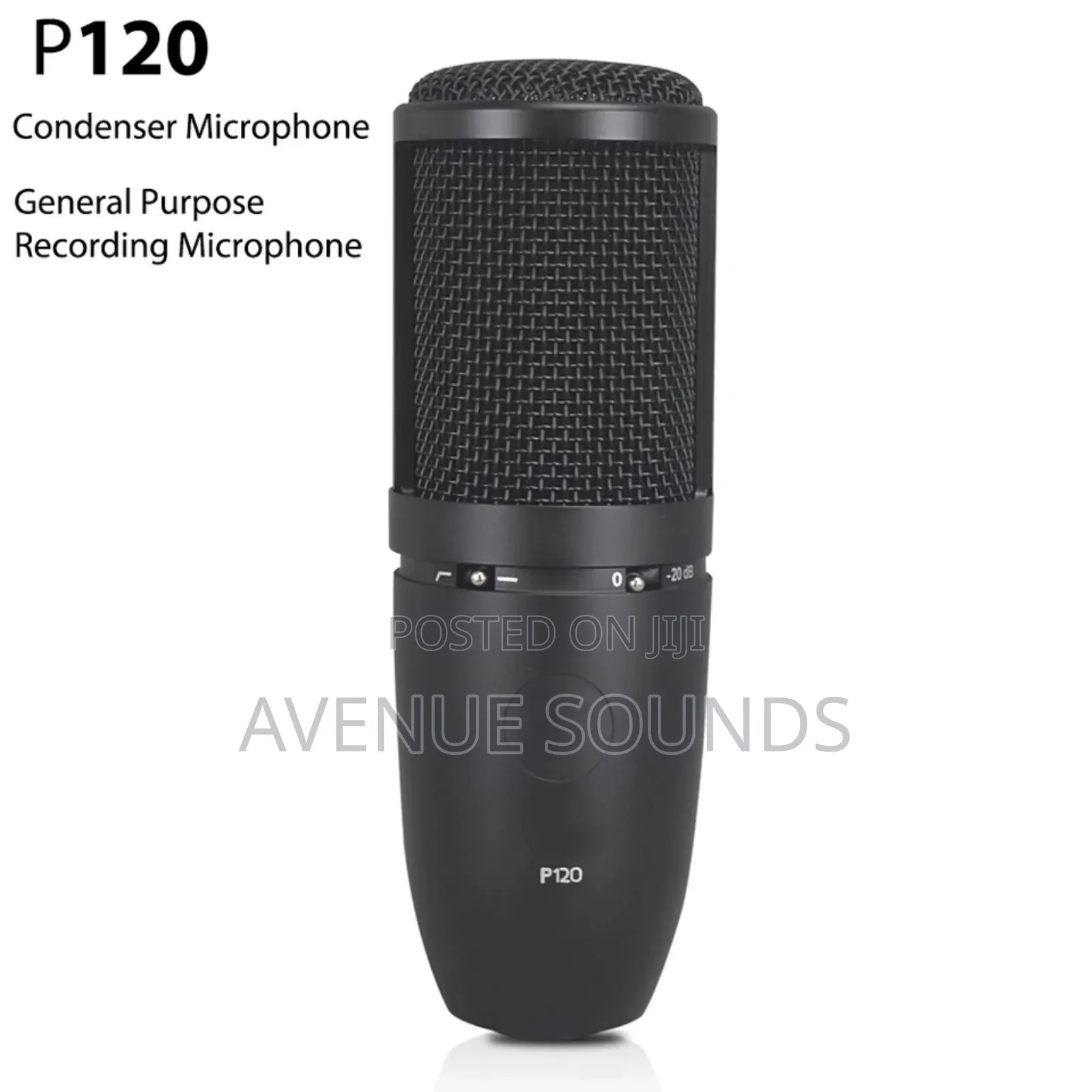 AKG P120 Recording Condenser Microphone