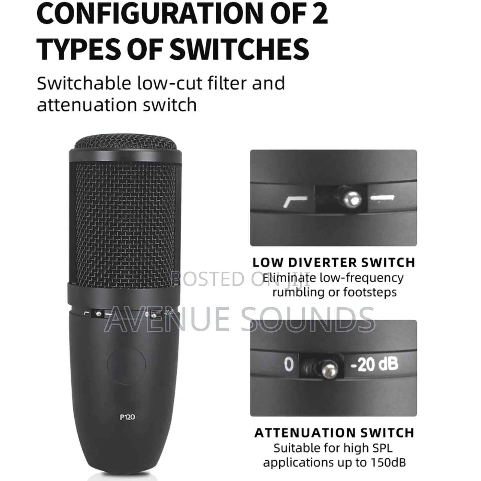 AKG P120 Recording Condenser Microphone