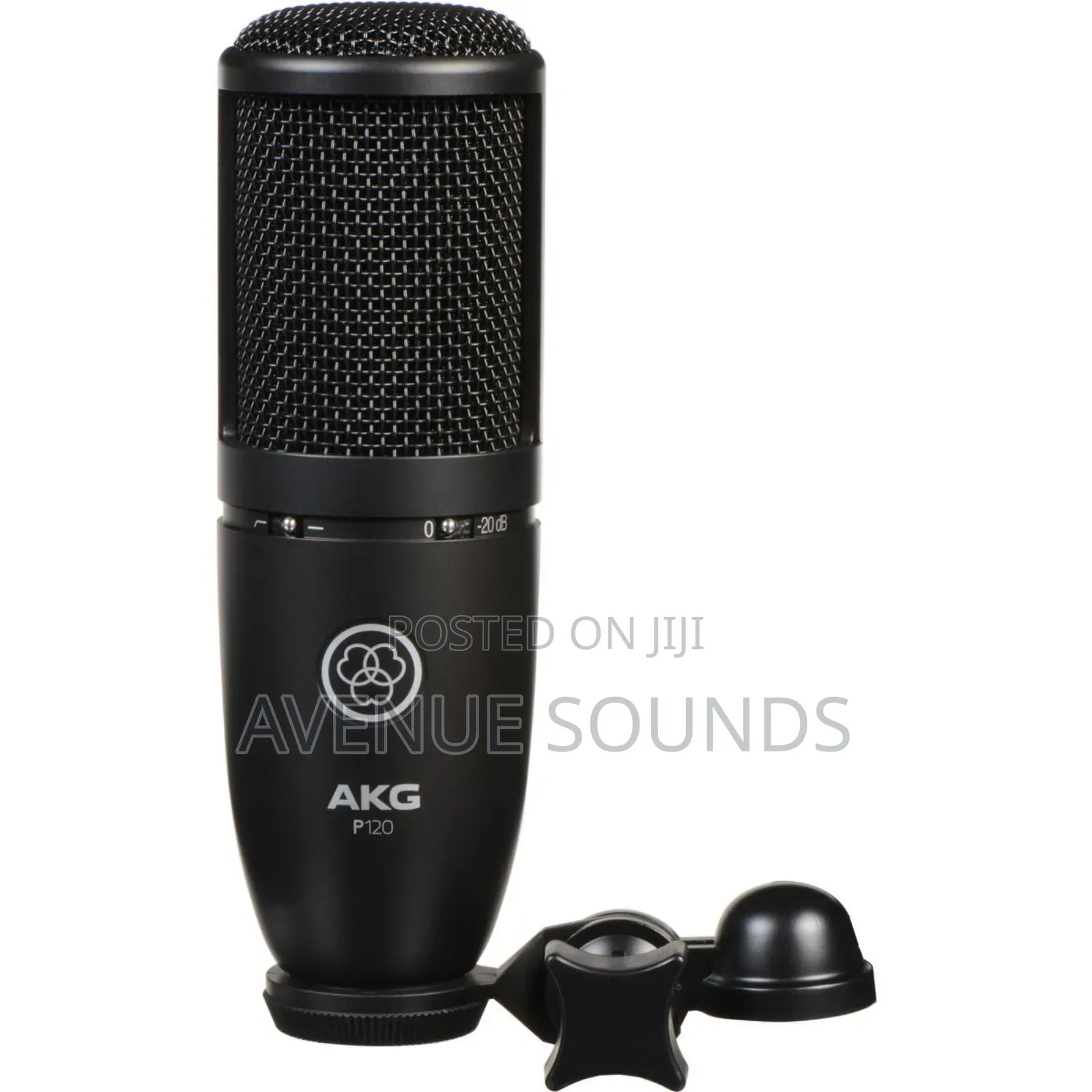 Professional AKG P120 Condenser Microphone