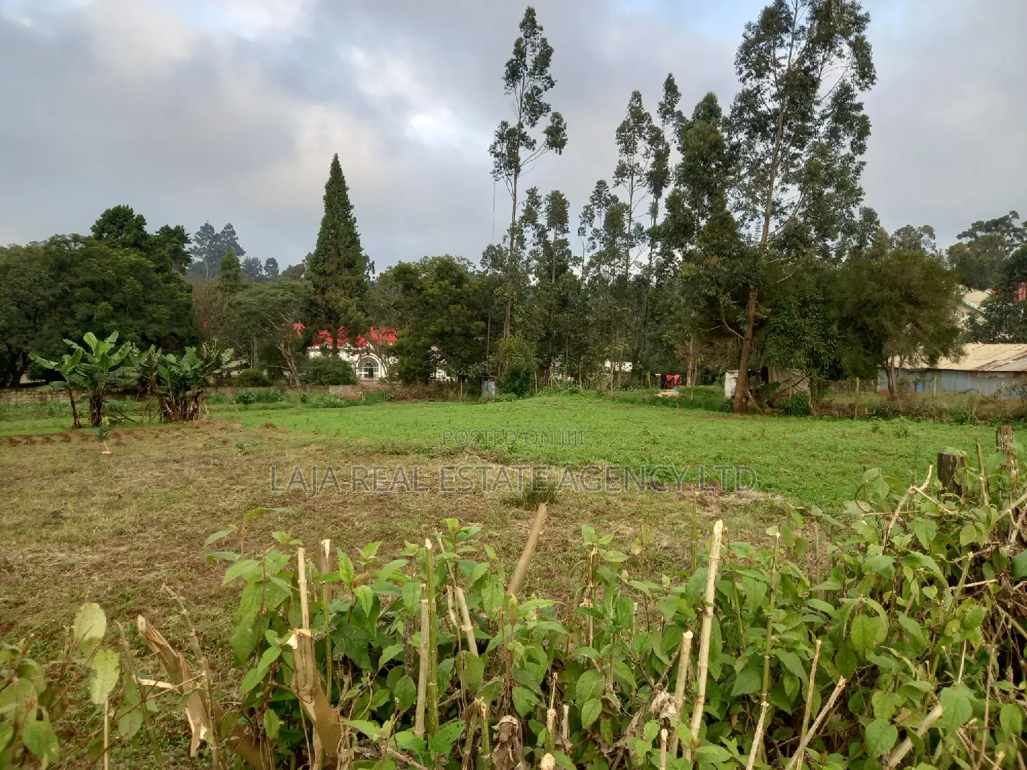 Limuru Industrial Plot Sale