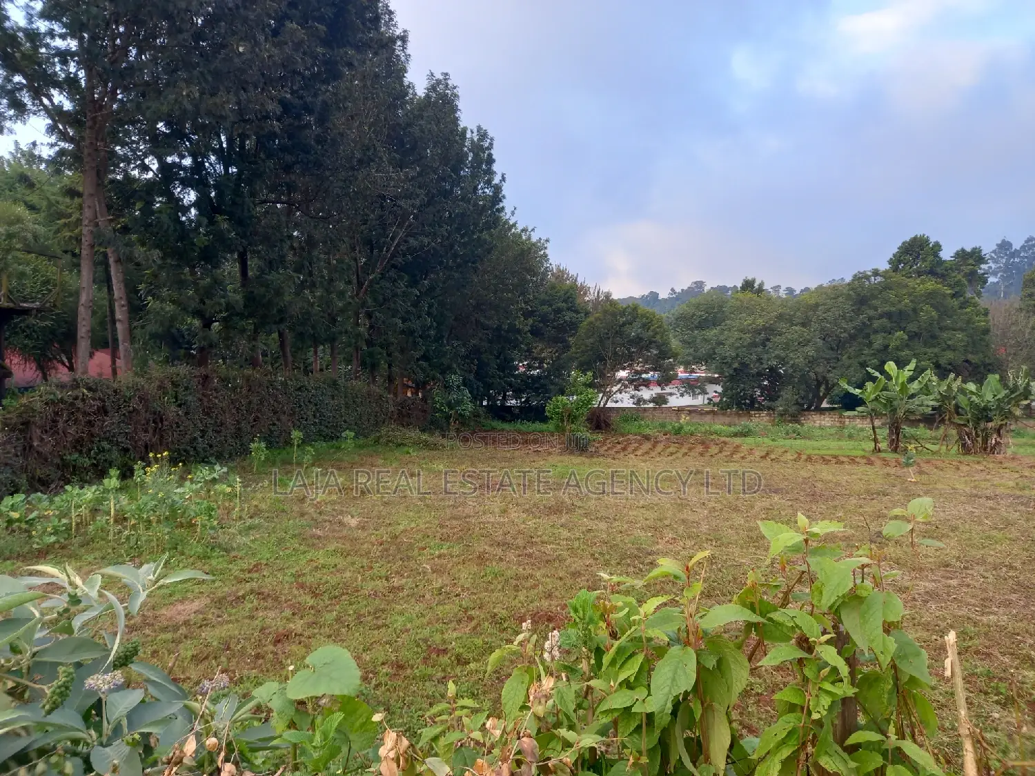 Limuru Industrial Plot Sale