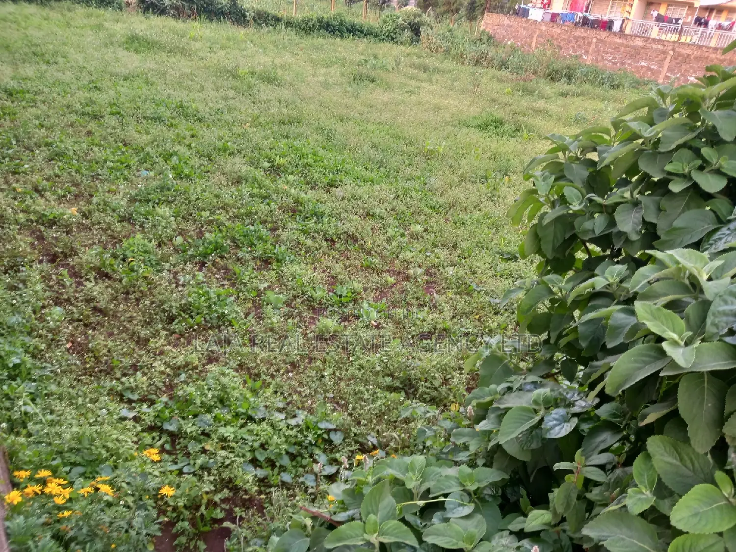 Limuru Industrial Plot Sale