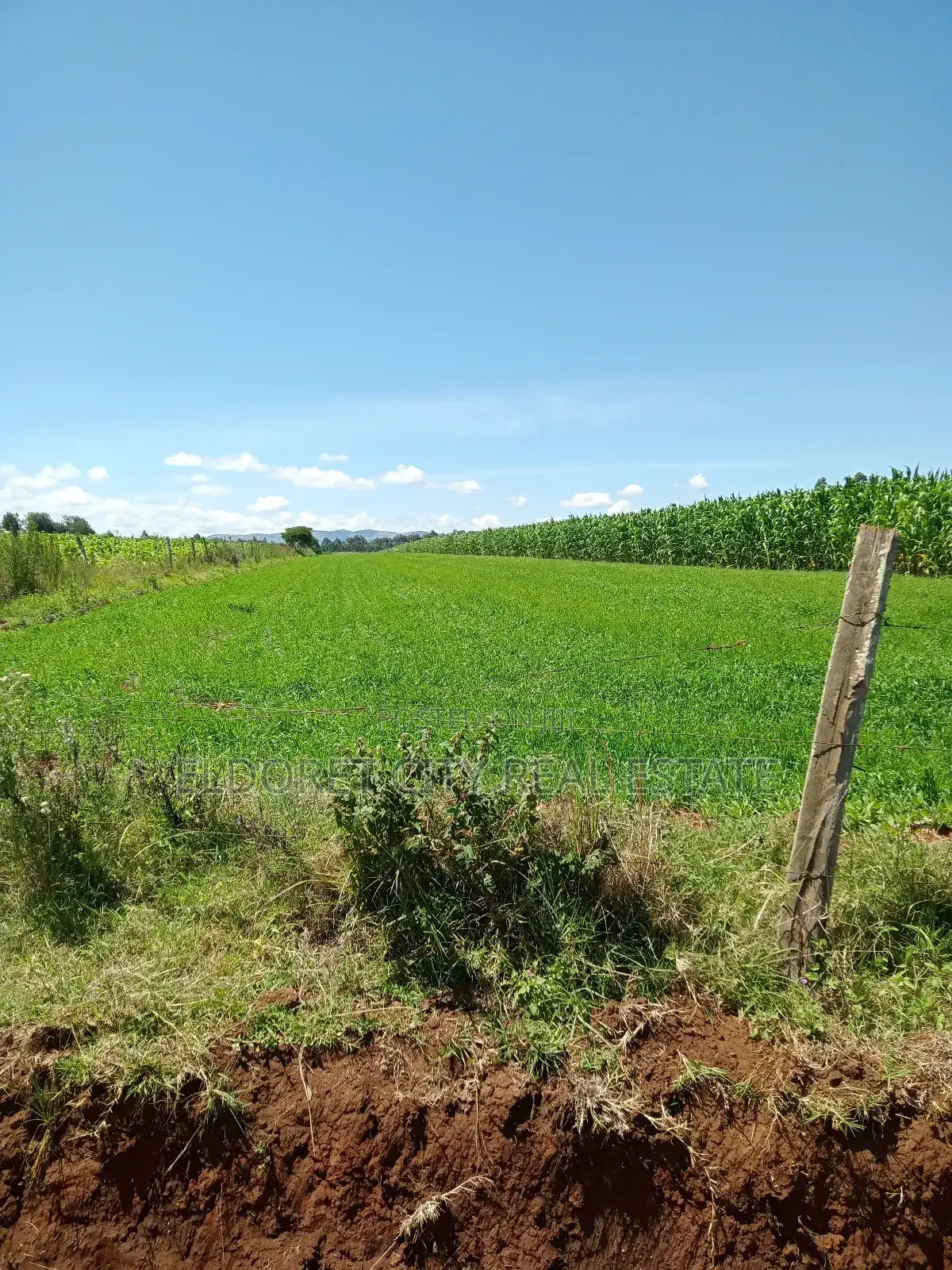2 Acres.Moiben Garage With Title of 50 Acres