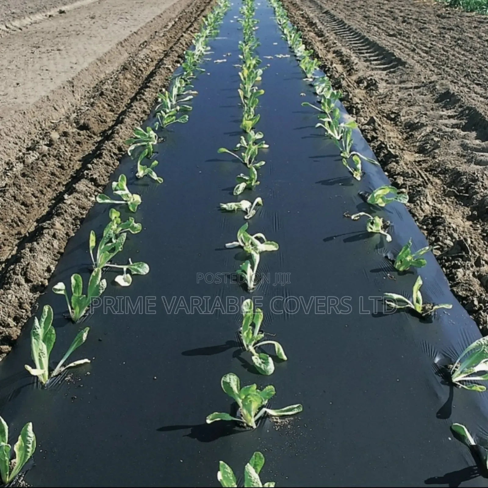 Dam Liner Prevents Water Seeping in or Out