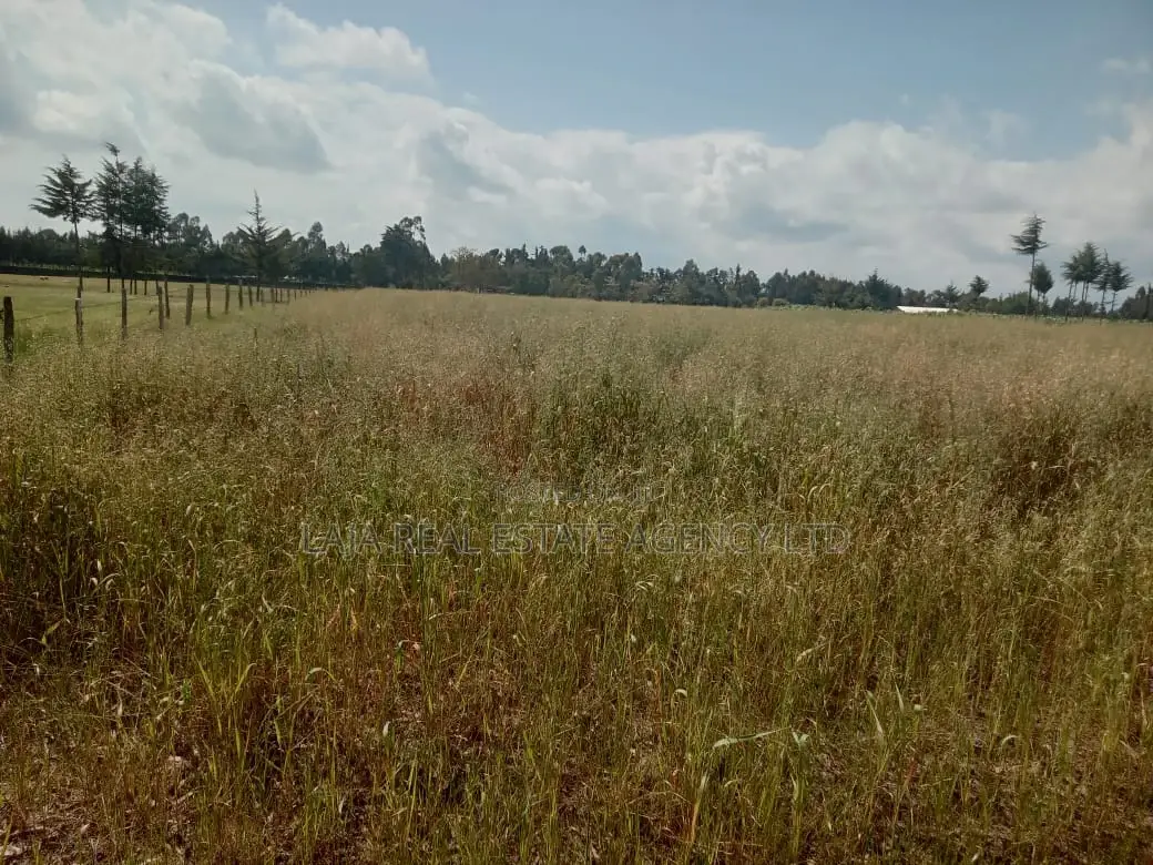 Naivasha Plot Sale