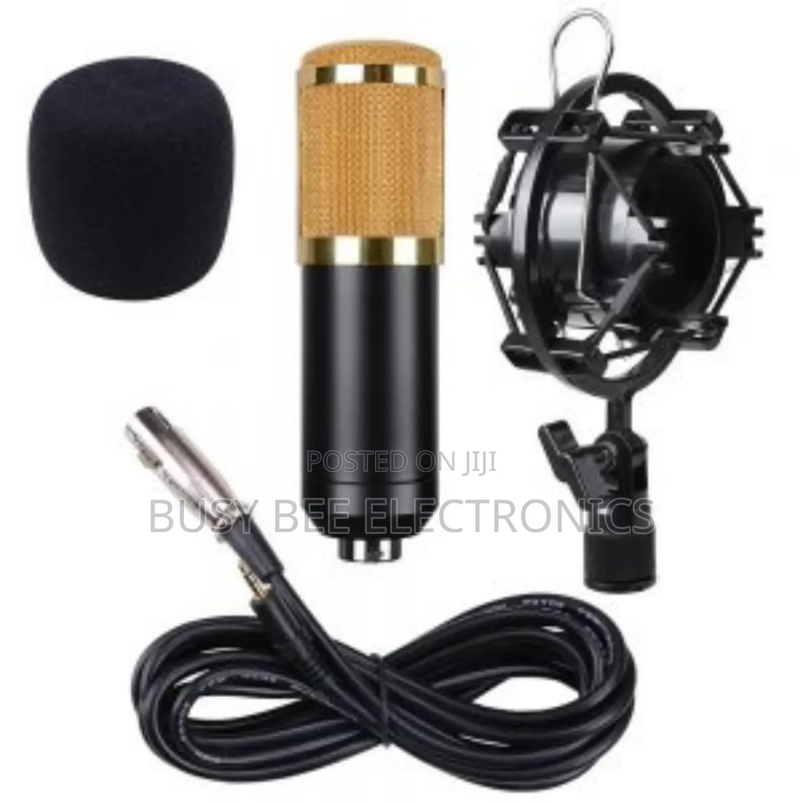 BM 800 Professional Condenser Microphone