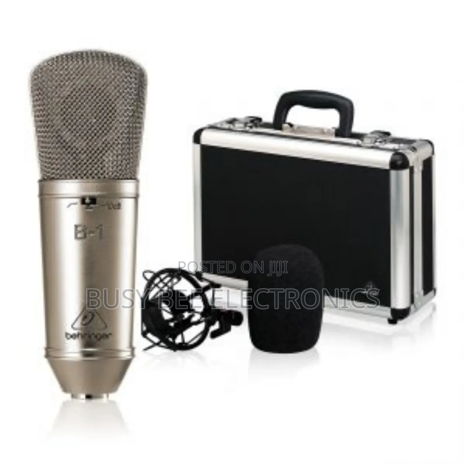 B1 Single Sputtered Large-Diaphragm Studio Condenser