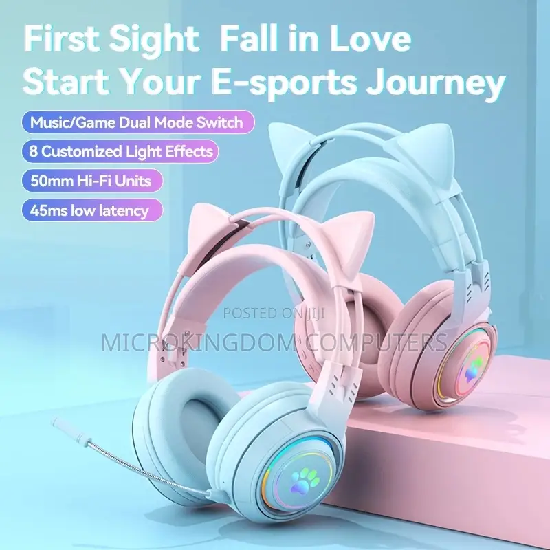 Dual Mode Wireless Headset With Mic