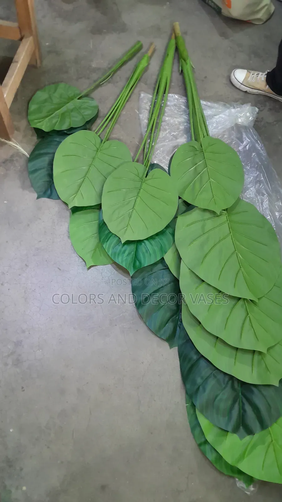 1.6m Plant Alone Is KSH 