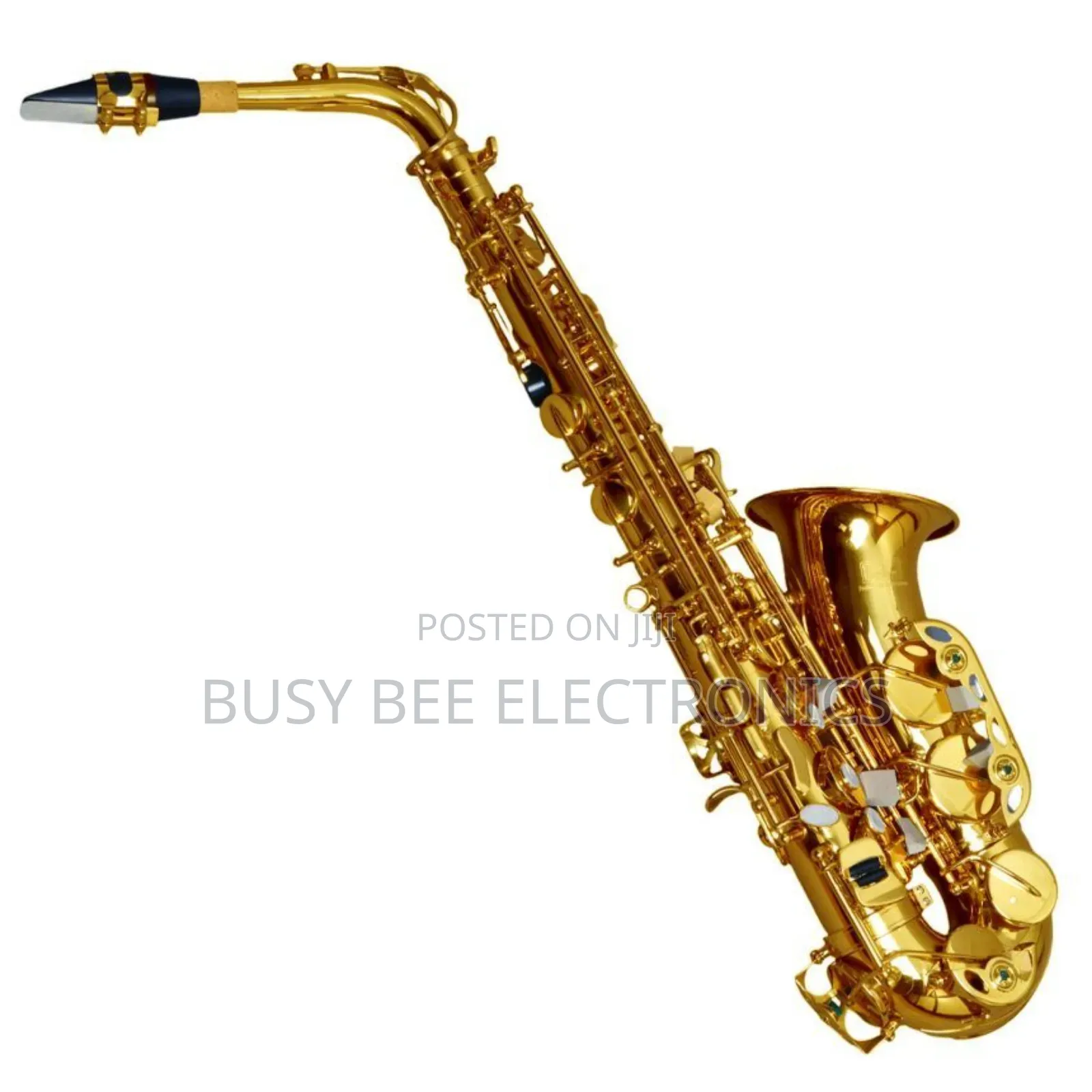 Gold Plated Alto Saxophone