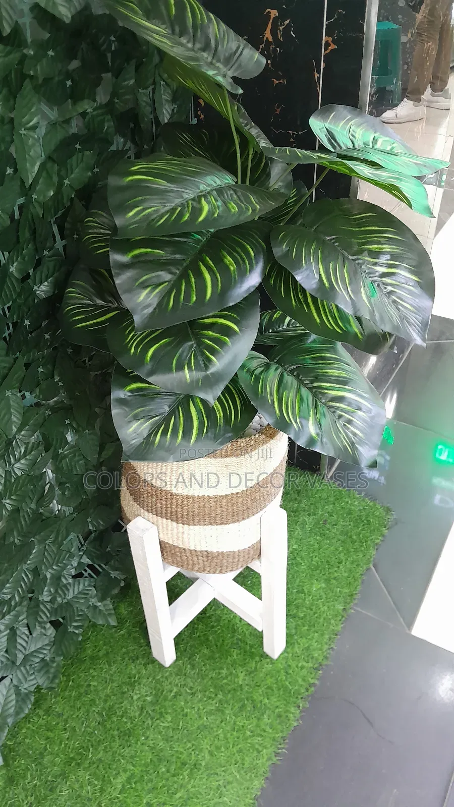 Stand/Plant/White Stones/Basket 