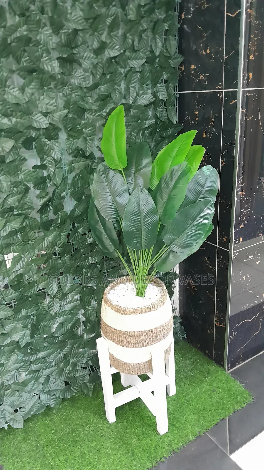 Banana,Basket, Plant and Pebble Stones 