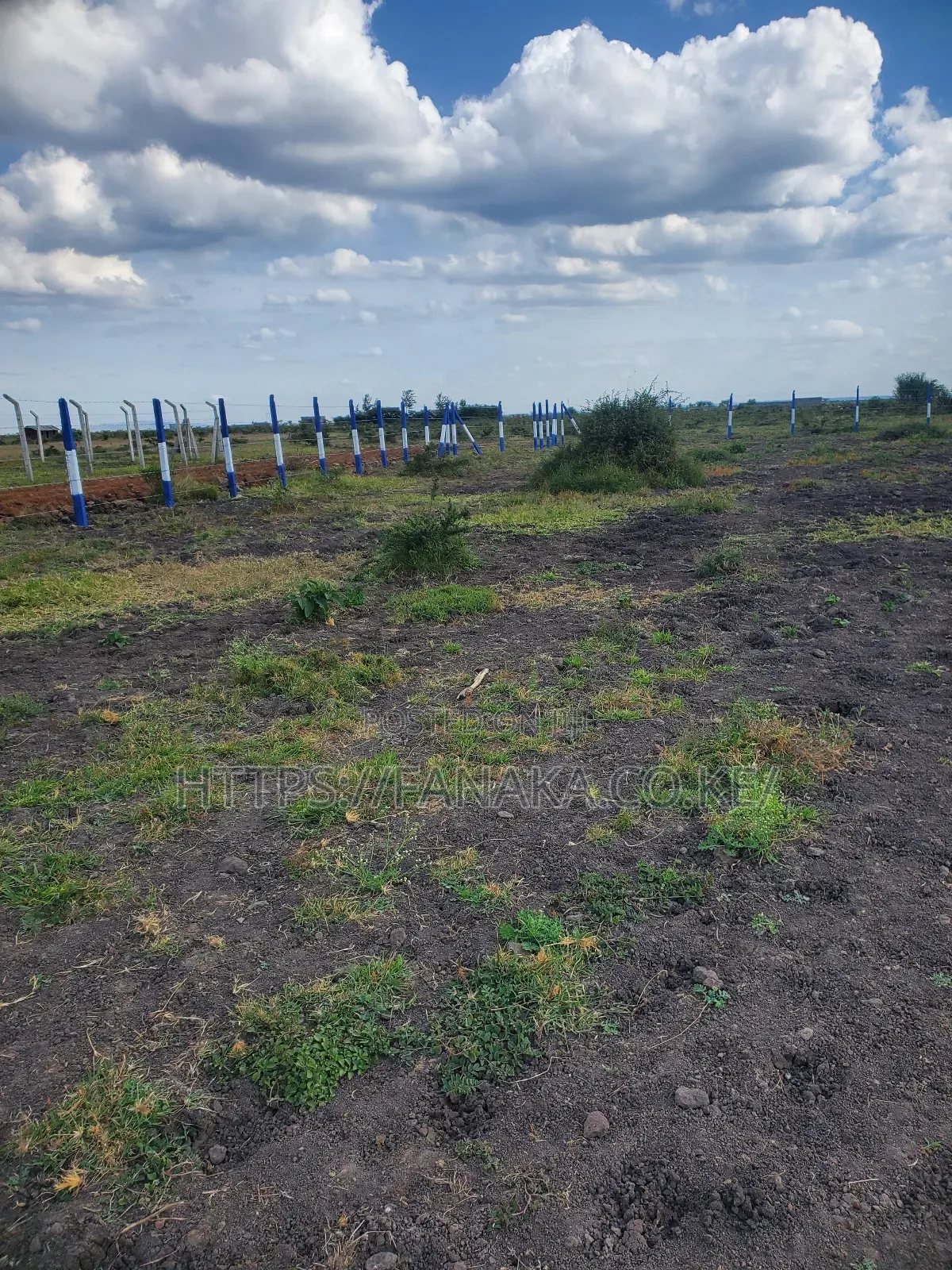 Prime Plots in Gikumari ^Pww