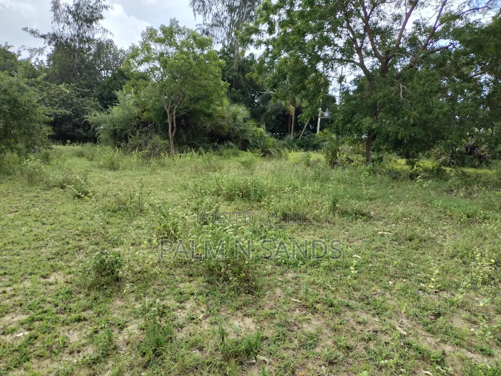 Half Prime Land Near Almanara LUXURY Beach Villas
