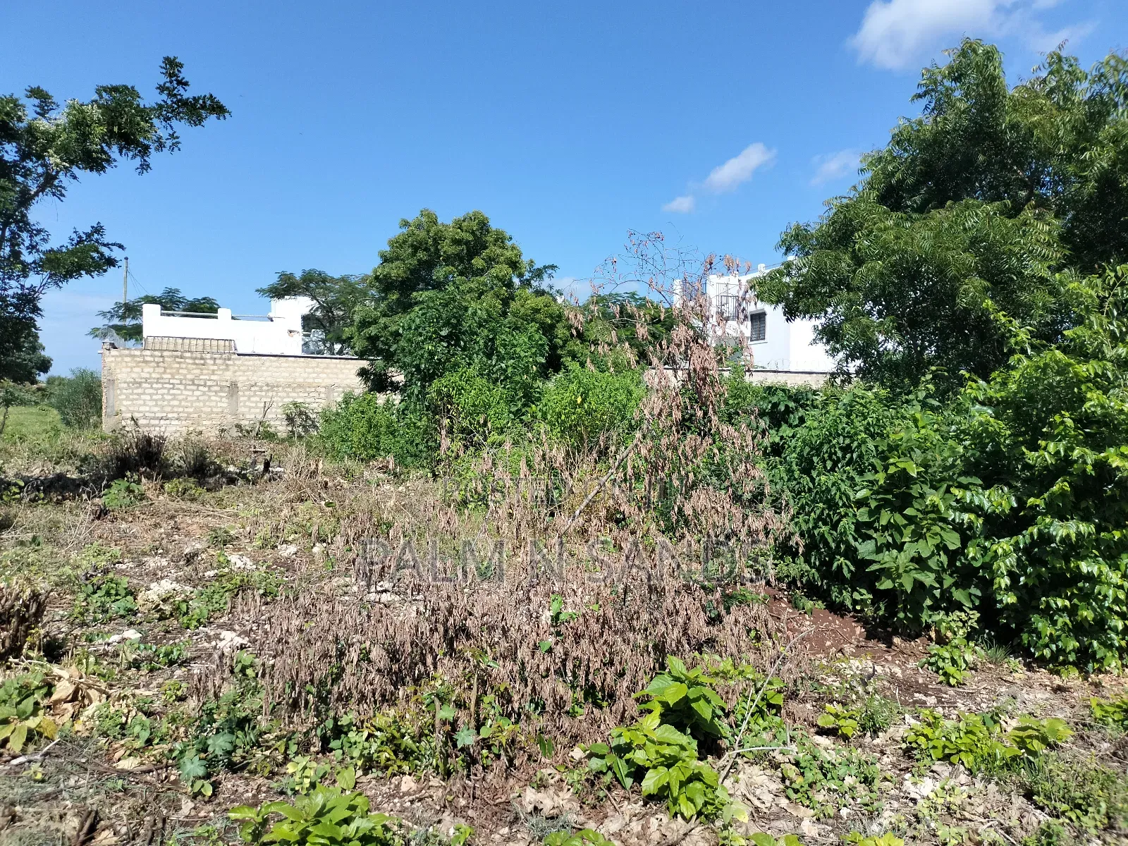 Half Prime Land Near Almanara LUXURY Beach Villas