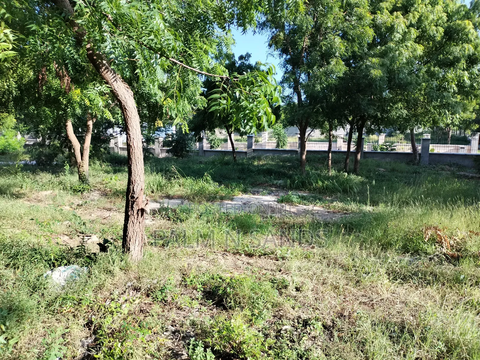 Half Prime Land Near Almanara LUXURY Beach Villas