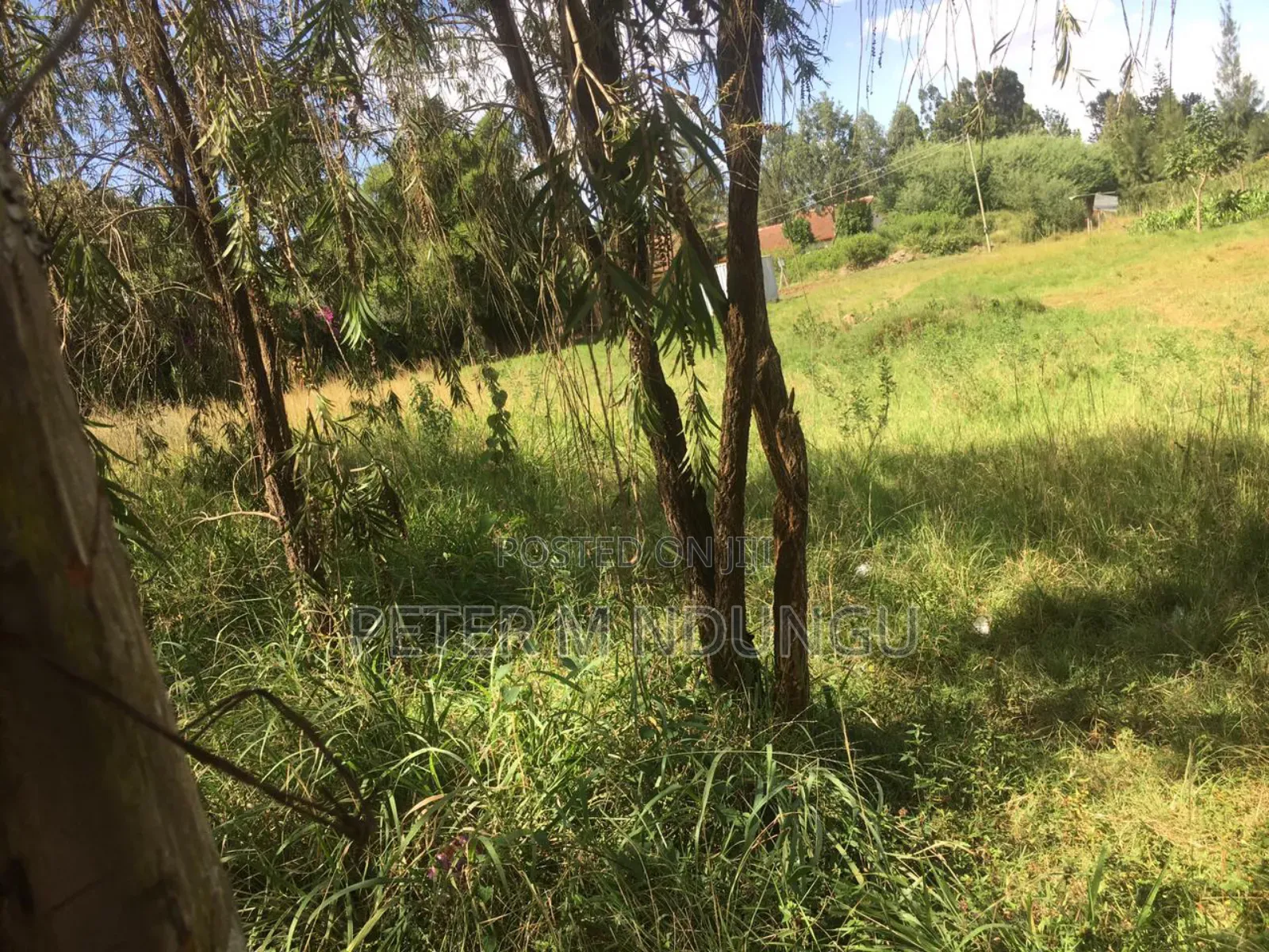 Thome Residential Plot on Sale