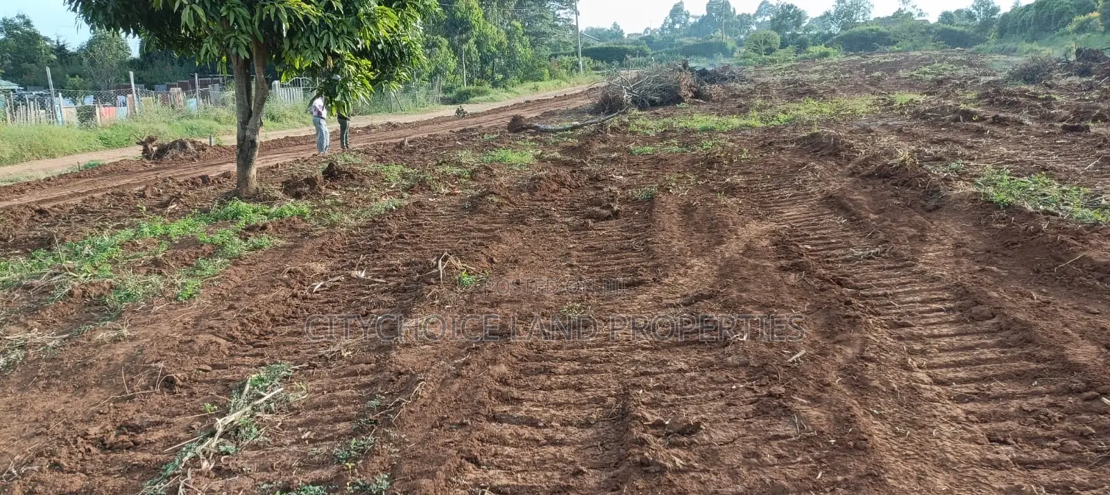 50x100ft Residential Plots in Kamangu Kikuyu
