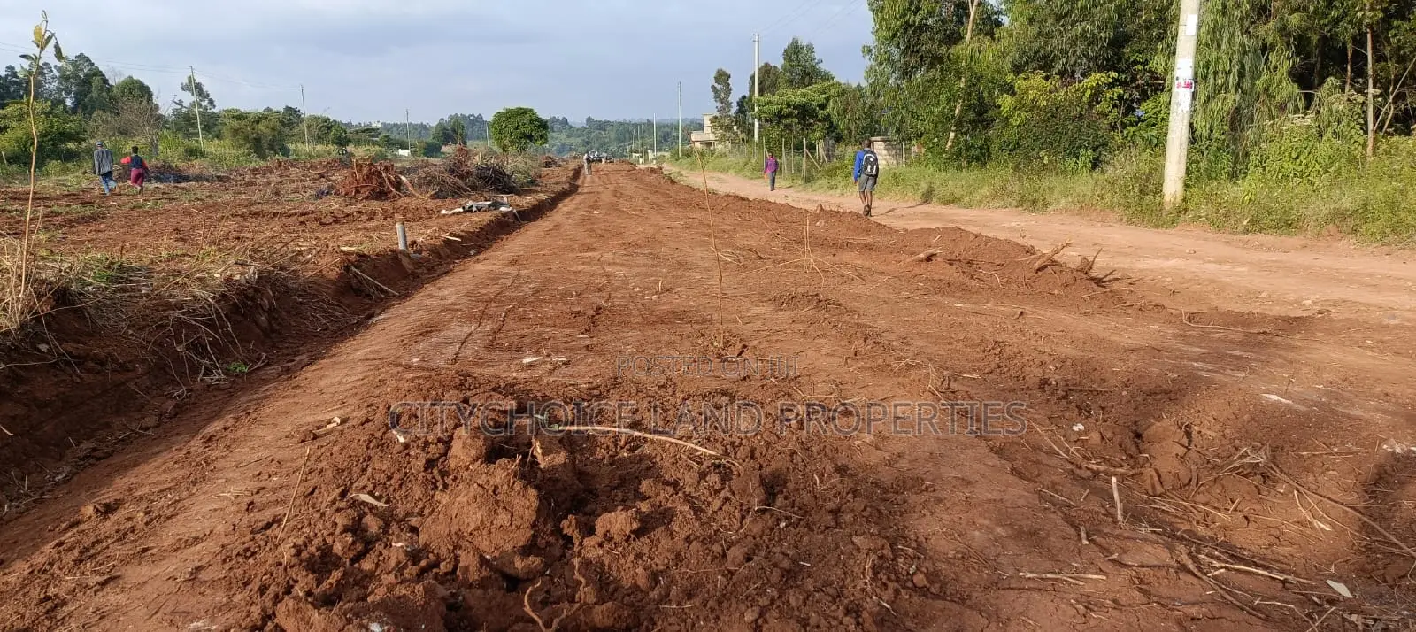 Affordable 50x100ft Prime Land for Sale in Kamangu Kikuyu