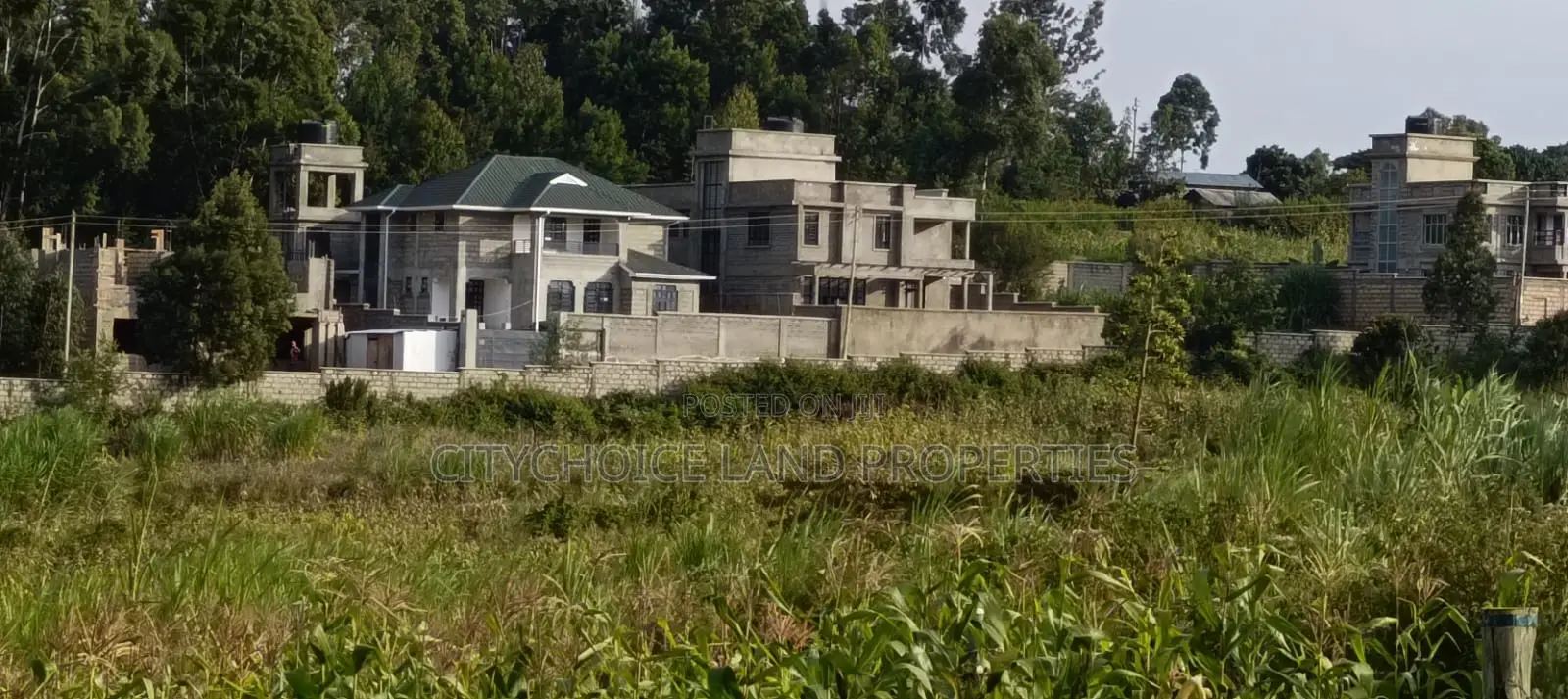 50x100ft Land for Sale in Kamangu Kikuyu