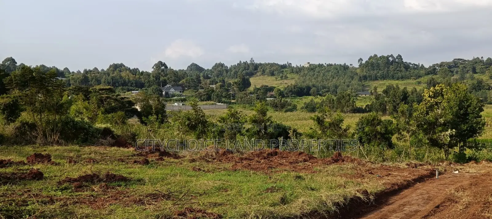 Prime Residential Land For Sale In Kamangu Kikuyu