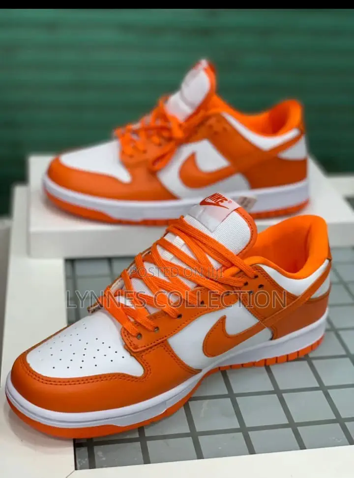 Nike Sb Low Dunk