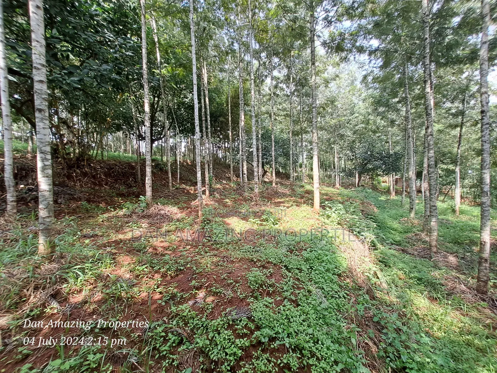 3.5 Acres Farmland With a Warehouse for Sale in Karen End