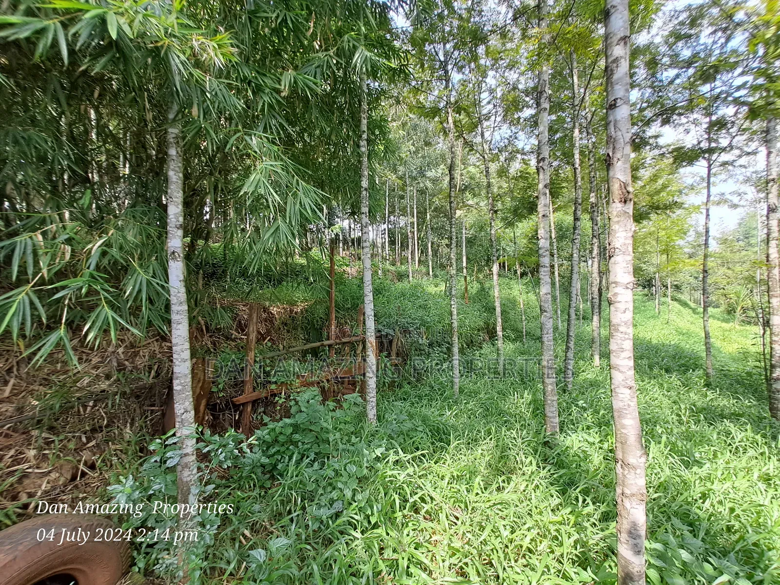 3.5 Acres Farmland With a Warehouse for Sale in Karen End