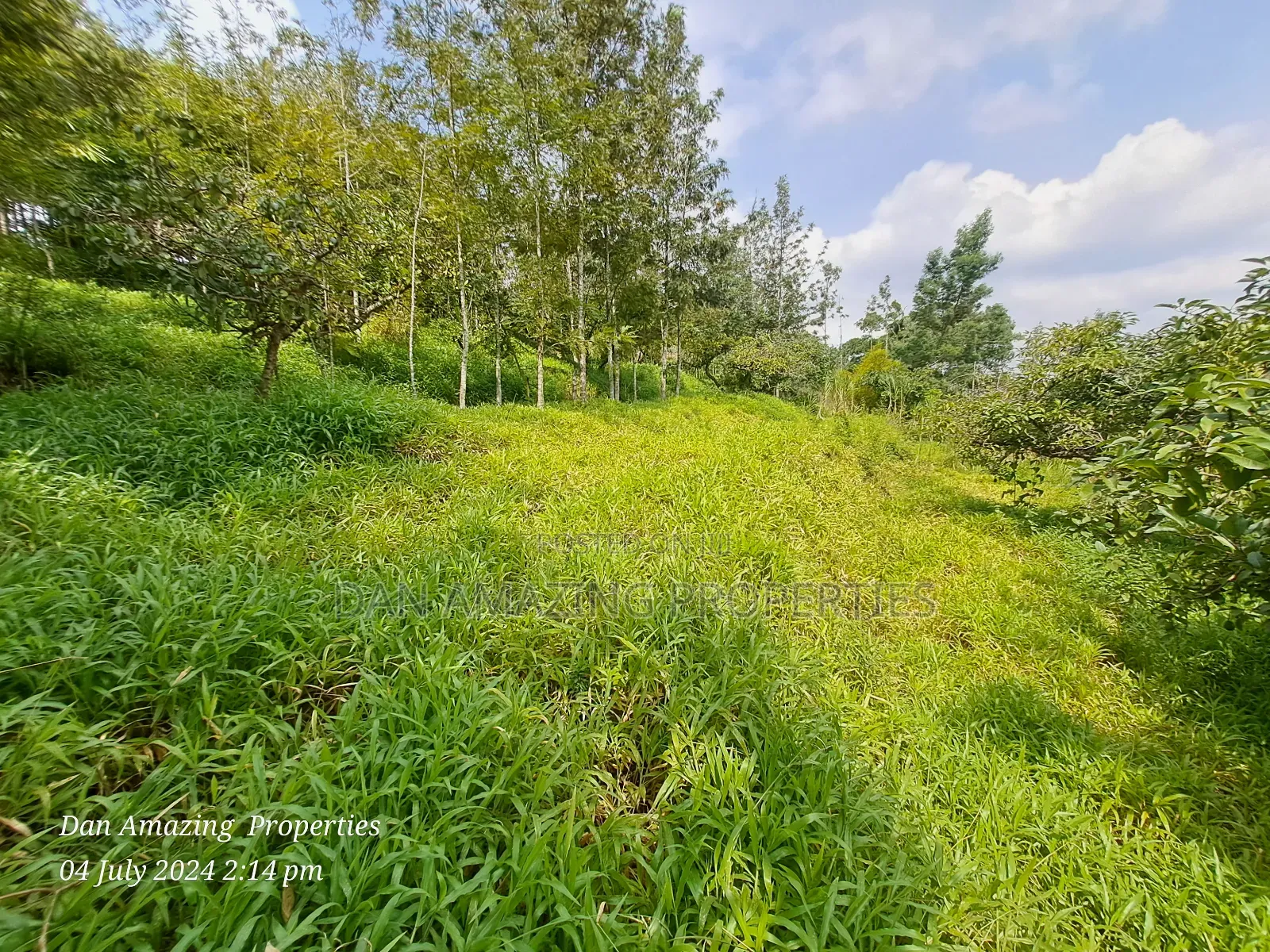 3.5 Acres Farmland With a Warehouse for Sale in Karen End