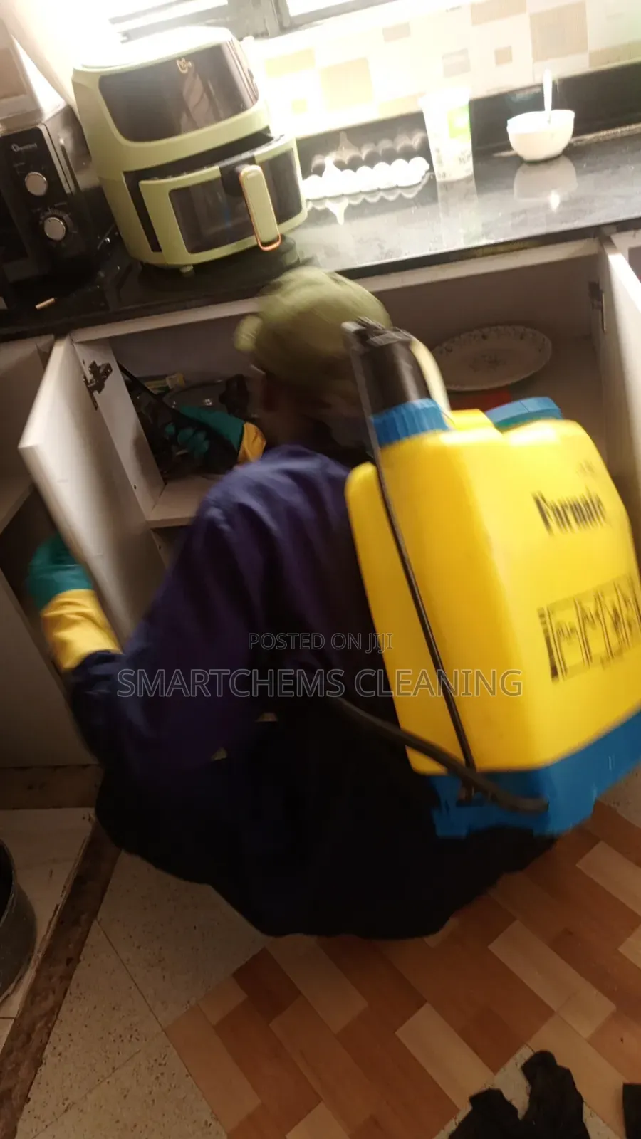 Cockroaches in Cabinets