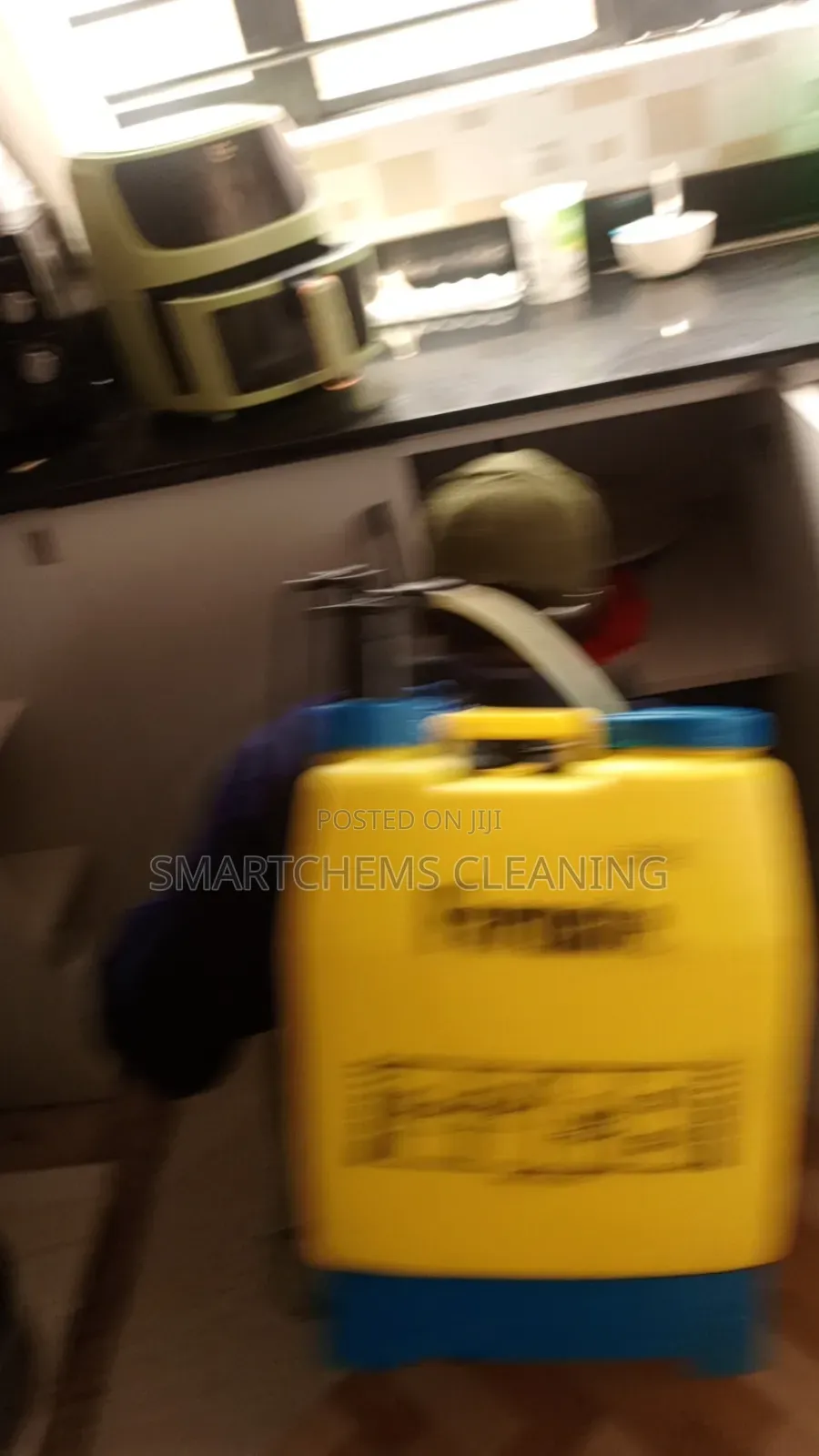 Cockroaches in Cabinets